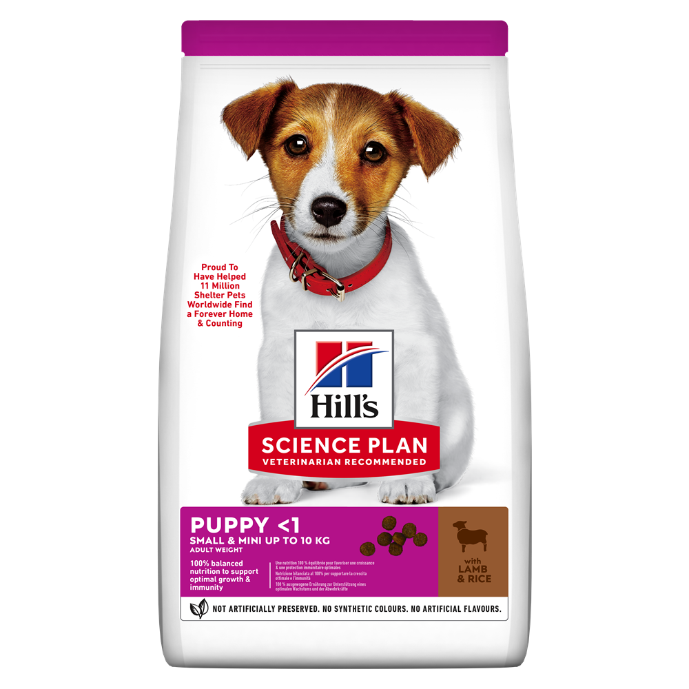 Hill's Science Plan Canine Puppy Small and Mini Lamb and Rice, 6 kg
