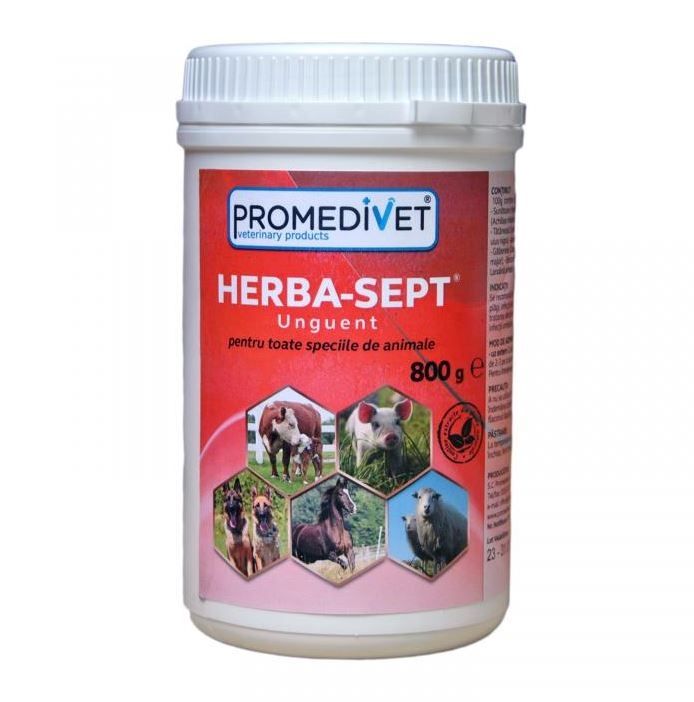 Herba Sept Simplu, 800 g