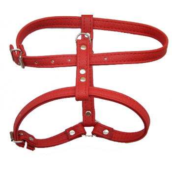 Ham Caini Enjoy Piele Eco, 20 mm