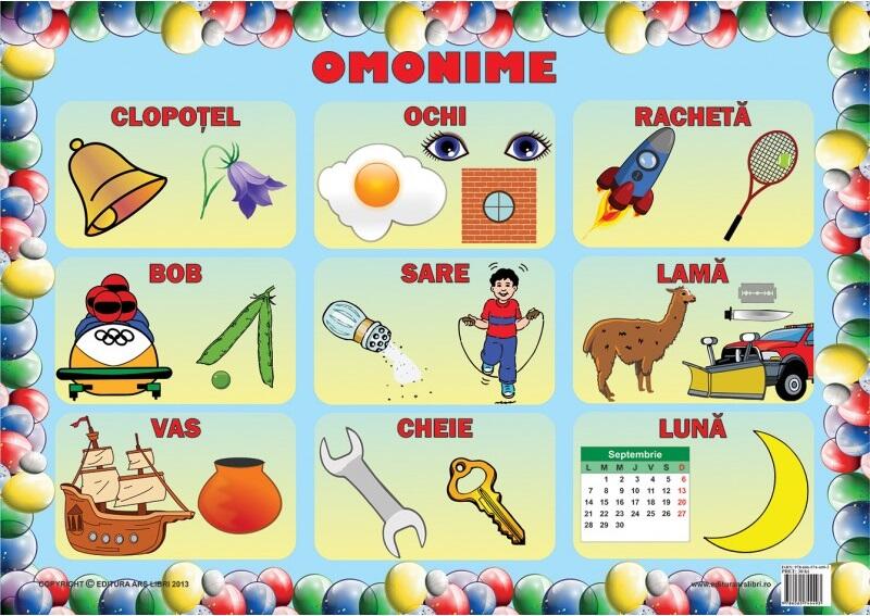 Set planșe - Omonime - Ars Libri