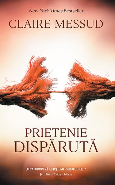 Prietenie disparută - Claire Messud - RAO