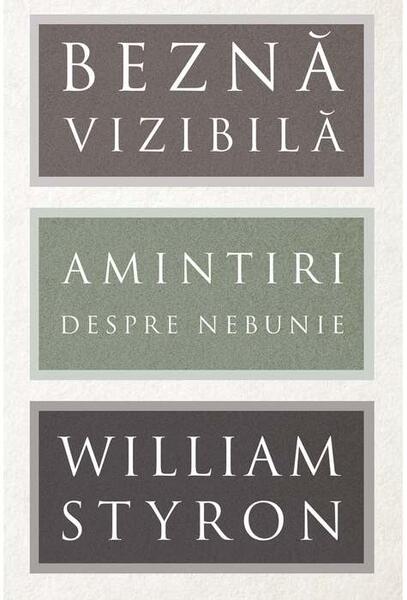 Beznă vizibilă - William Styron - Art