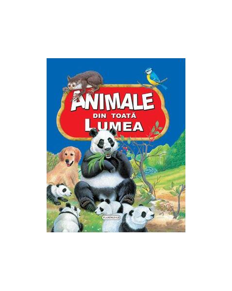Animale din toată lumea - Flamingo