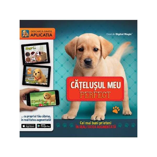 Catelusul meu perfect - Hardcover - Litera