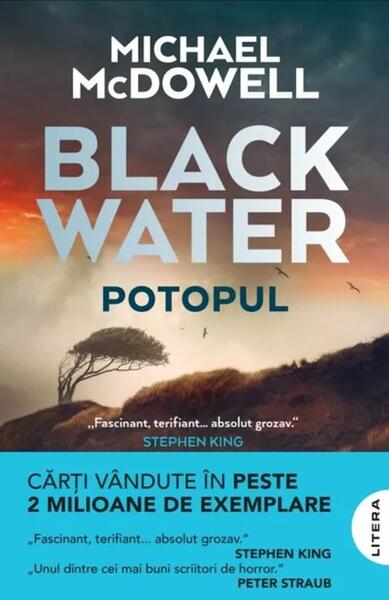 Blackwater. Potopul (Vol. 1) - Paperback brosat - Michael McDowell - Litera