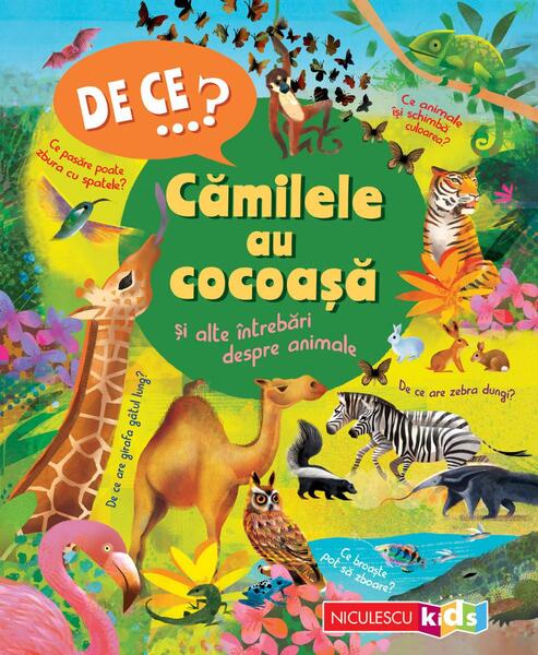 De ce…? Cămilele au cocoaşă şi alte întrebări despre animale - Paperback brosat - Niculescu