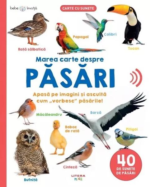 Bebe învață. Marea carte despre păsări - Litera mică