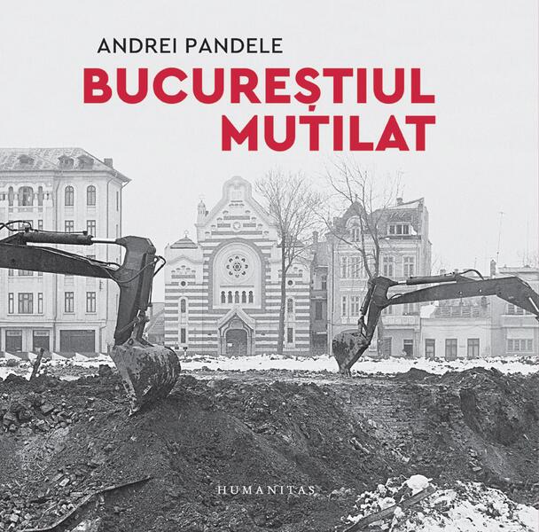 Bucureștiul mutilat - Andrei Pandele