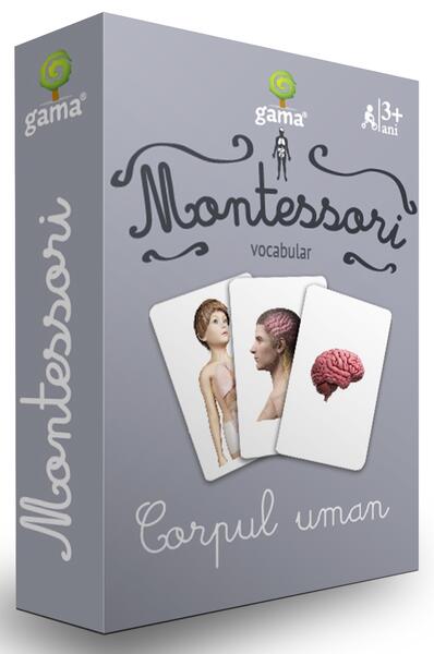 Corpul uman - Board book - Gama