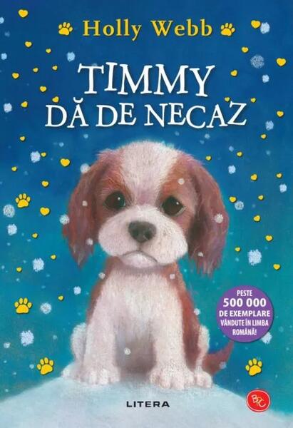 Timmy dă de necaz - Paperback brosat - Litera