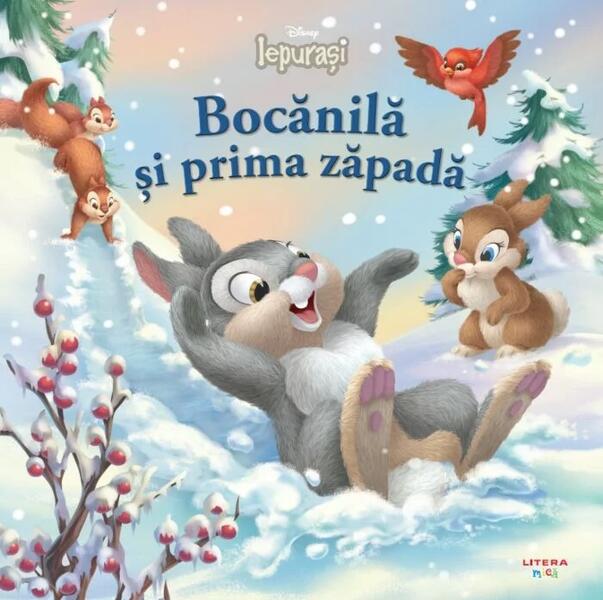 Bocănilă și prima zăpadă - Oana Neacșu - Litera mică