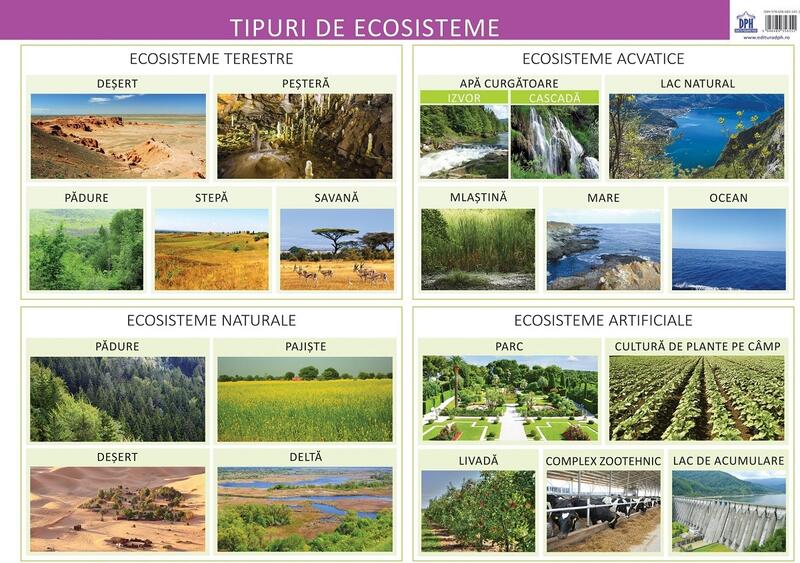 Tipuri de ecosisteme - Planșă educativă - Florica Alexandrescu - Didactica Publishing House