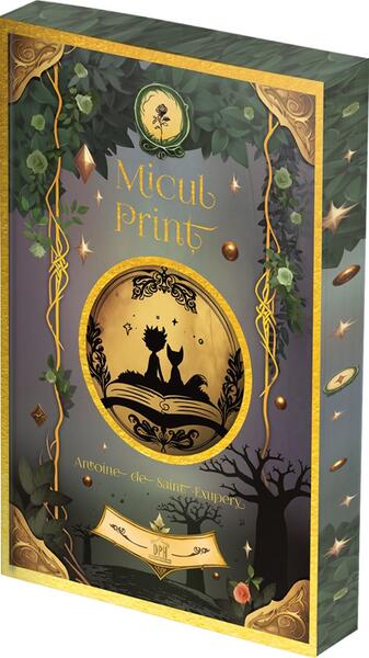 Micul prinț - cu folio și canturi ilustrate - Antoine de Saint-Exupéry - Didactica Publishing House