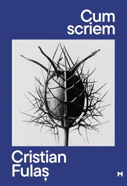 Cum scriem - Paperback brosat - Matca literară