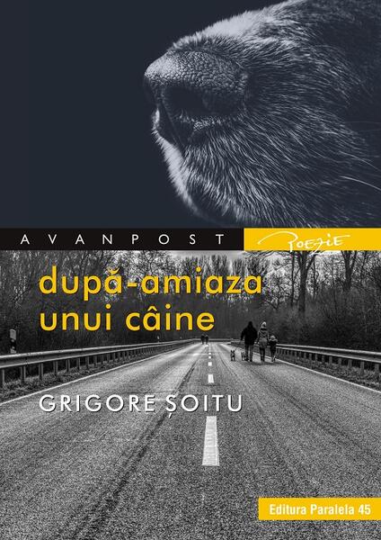După-amiaza unui câine - Grigore Şoitu - Paralela 45