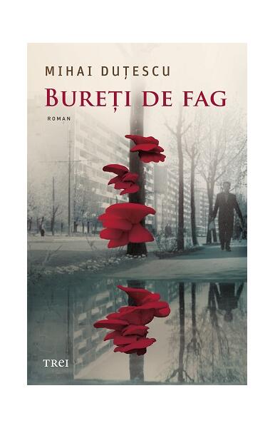 Bureți de fag - M. Duţescu