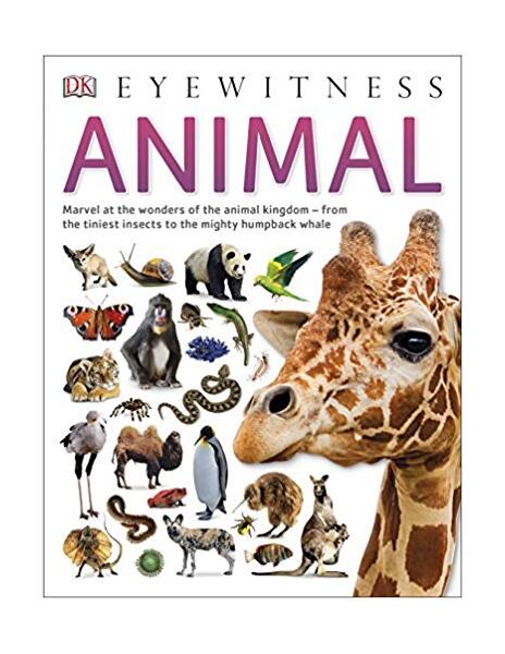 Animal (Eyewitness) - Paperback - Dorling Kindersley (DK) - DK Publishing (Dorling Kindersley)