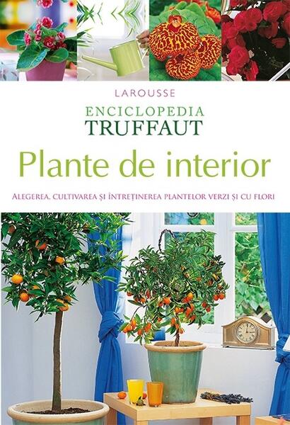 Plante de interior - Larousse - RAO