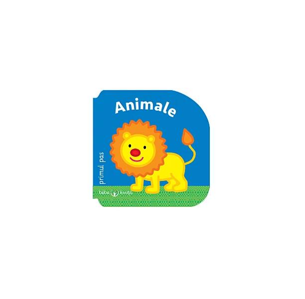 Animale - Litera mică