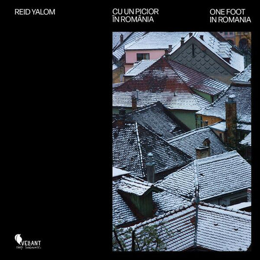 Cu un picior în România / One foot in Romania - Vellant