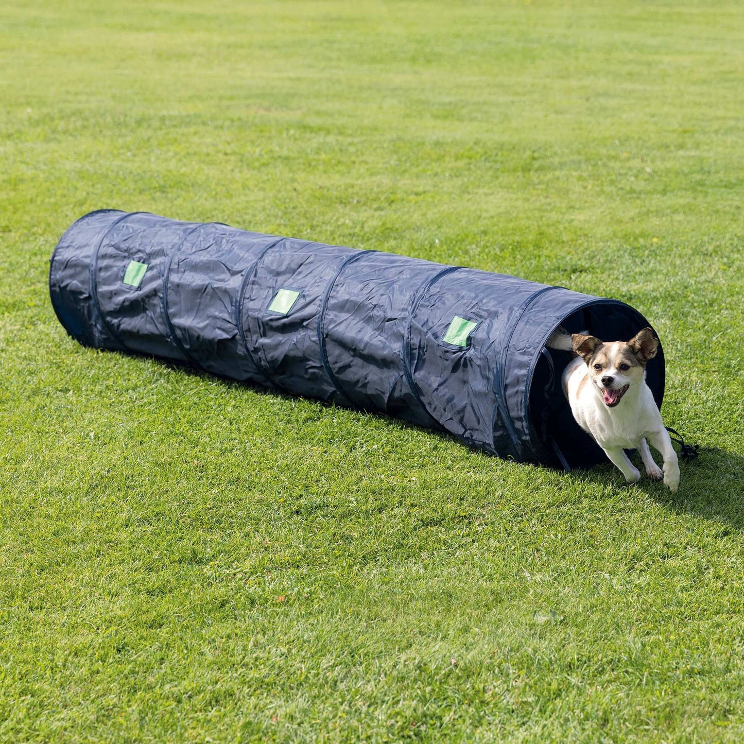 Jucarie Agility Tunel 40 cm/2 m 3210