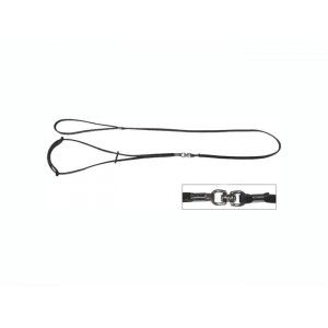 Dingo Lesa Prezentare