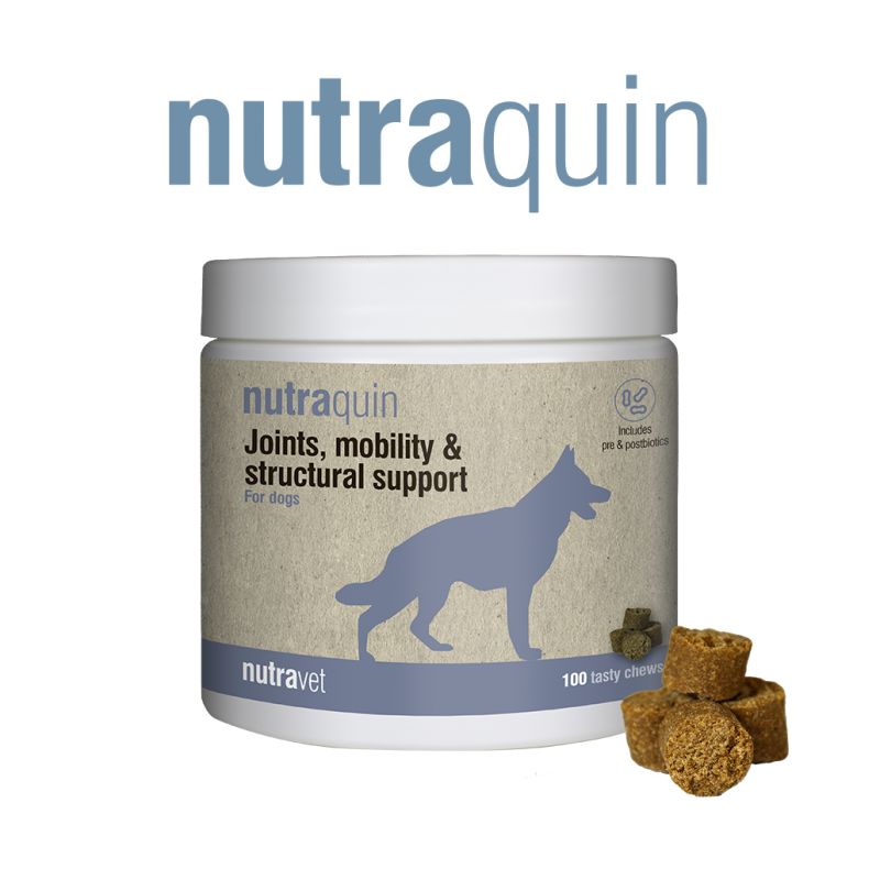 Nutravet Nutraquin, Caini, 50 chews