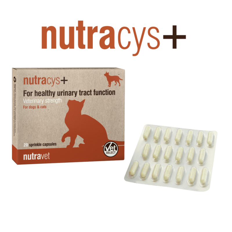 Nutravet Nutracys+, Caini & Pisici, 20 capsule