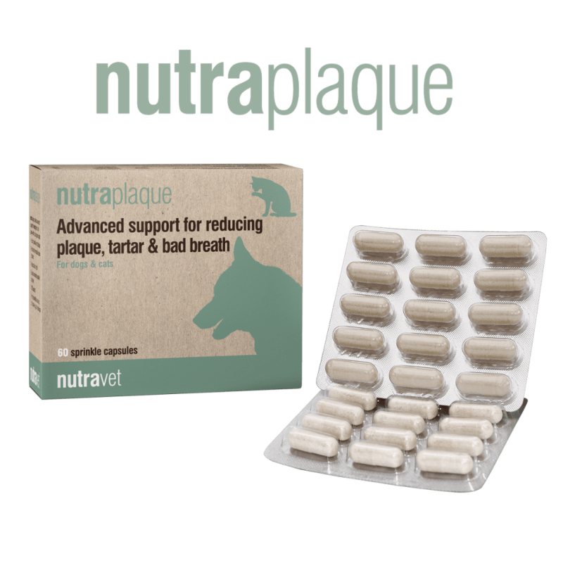 Nutravet NutraPlaque, Caini & Pisici, 45 capsule moi