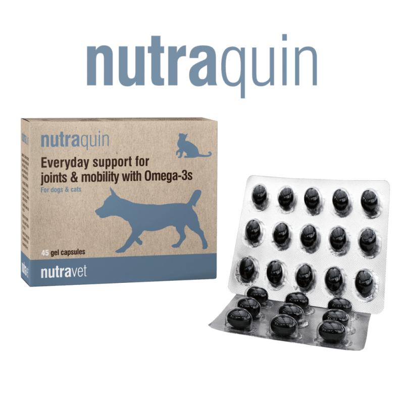 Nutravet Nutraquin, Caini & Pisici, 45 capsule moi