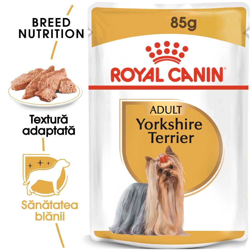 Royal Canin Yorkshire Terrier Adult hrana umeda caine (pate), 85 g