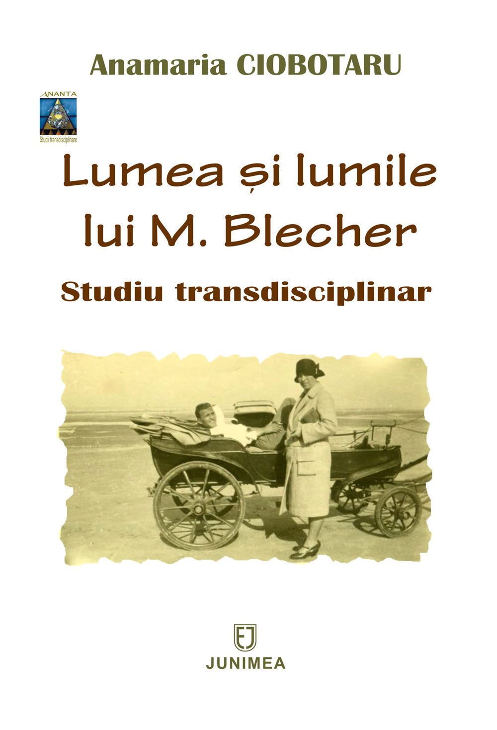 Lumea si lumile lui M. Blecher - Anamaria Ciobotaru