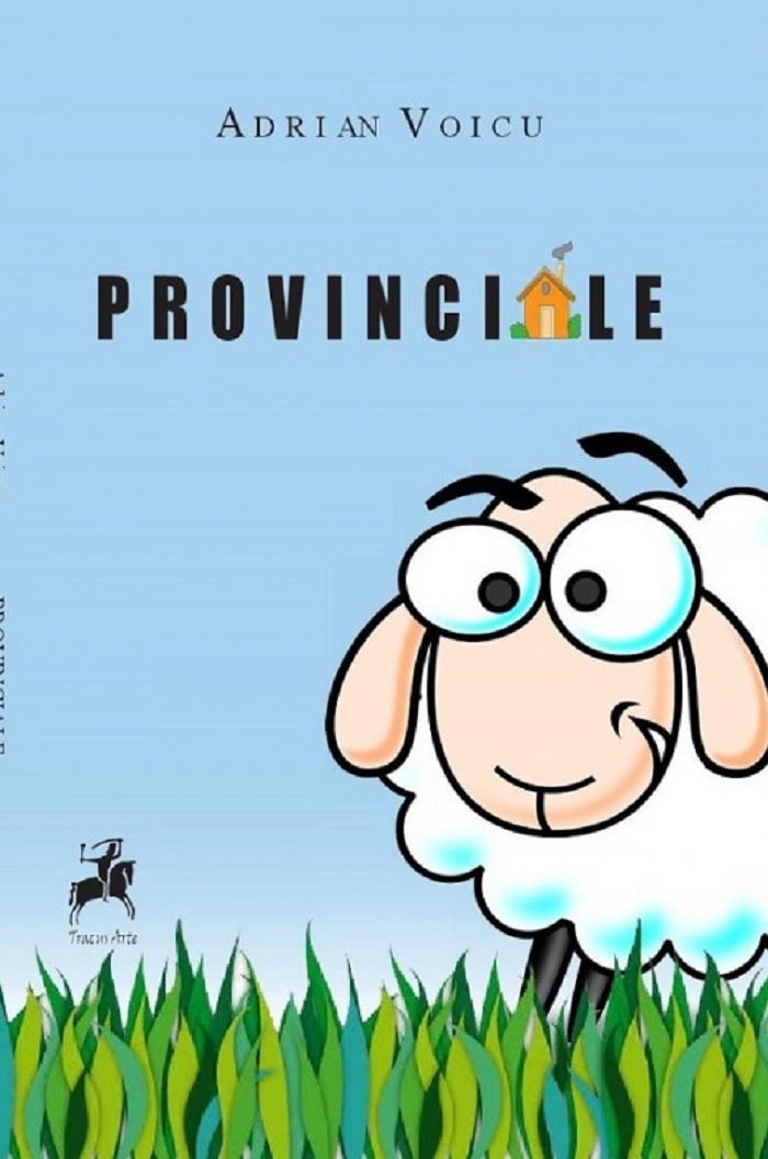 Provinciale - Adrian Voicu