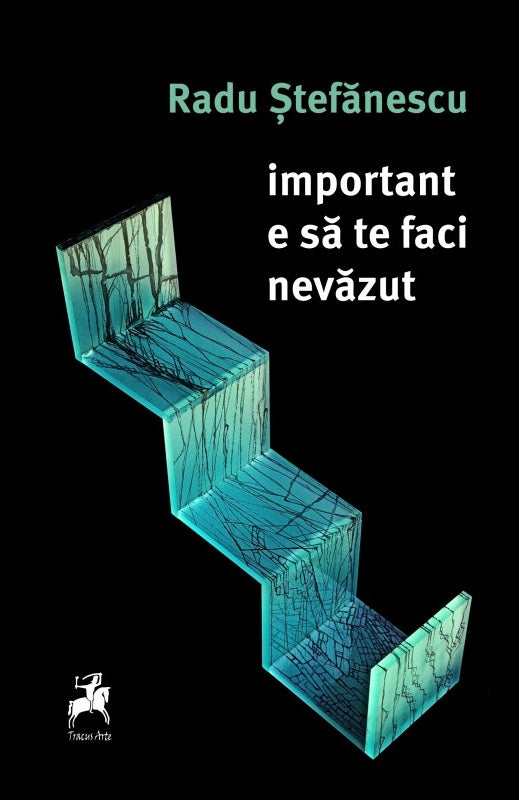 Important e sa te faci nevazut - Radu Stefanescu