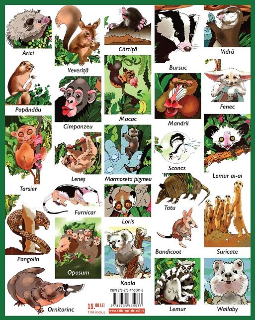 Luna-Betiluna si Dora-Minodora, prietene cu doi arici si alte animale mici - Anamaria Smigelschi