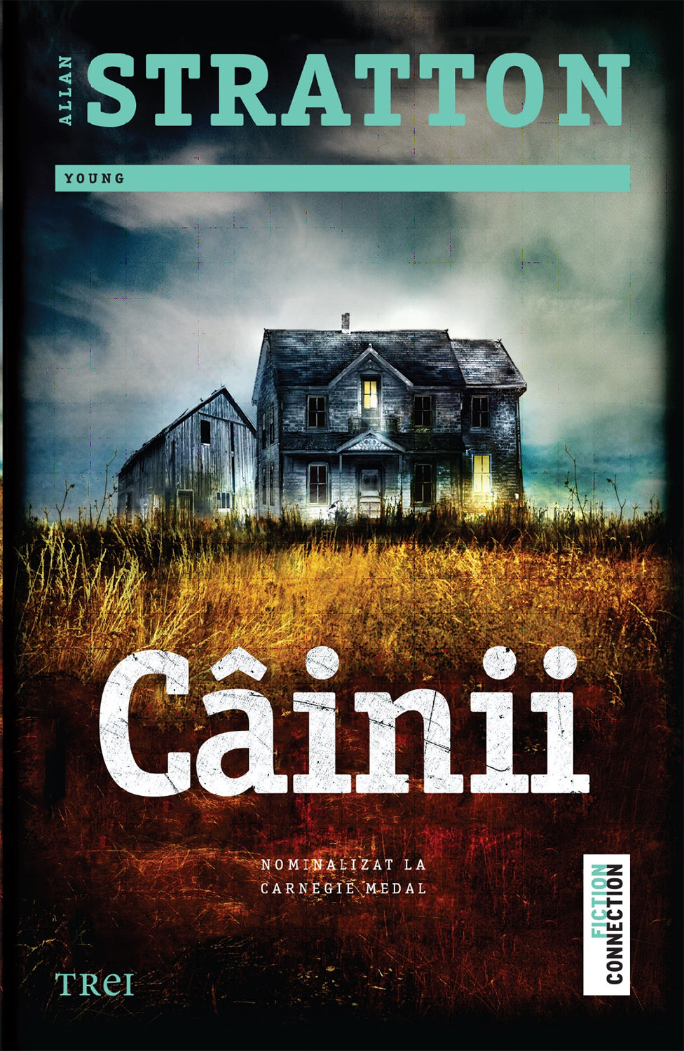 Cainii - Allan Stratton