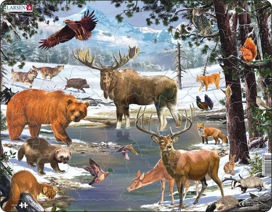Puzzle 54 piese - Maxi - Northern Forest - Larsen