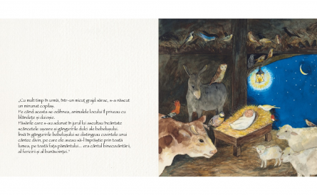 Mesajul pasarilor catre inimile copiilor - Kate Westerlund