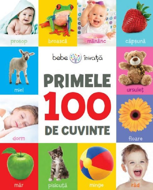 Bebe invata. Primele 100 de cuvinte 