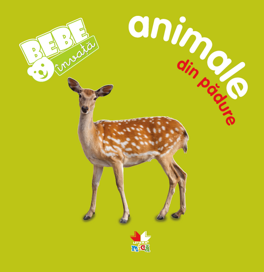 Bebe invata: Animale din padure 