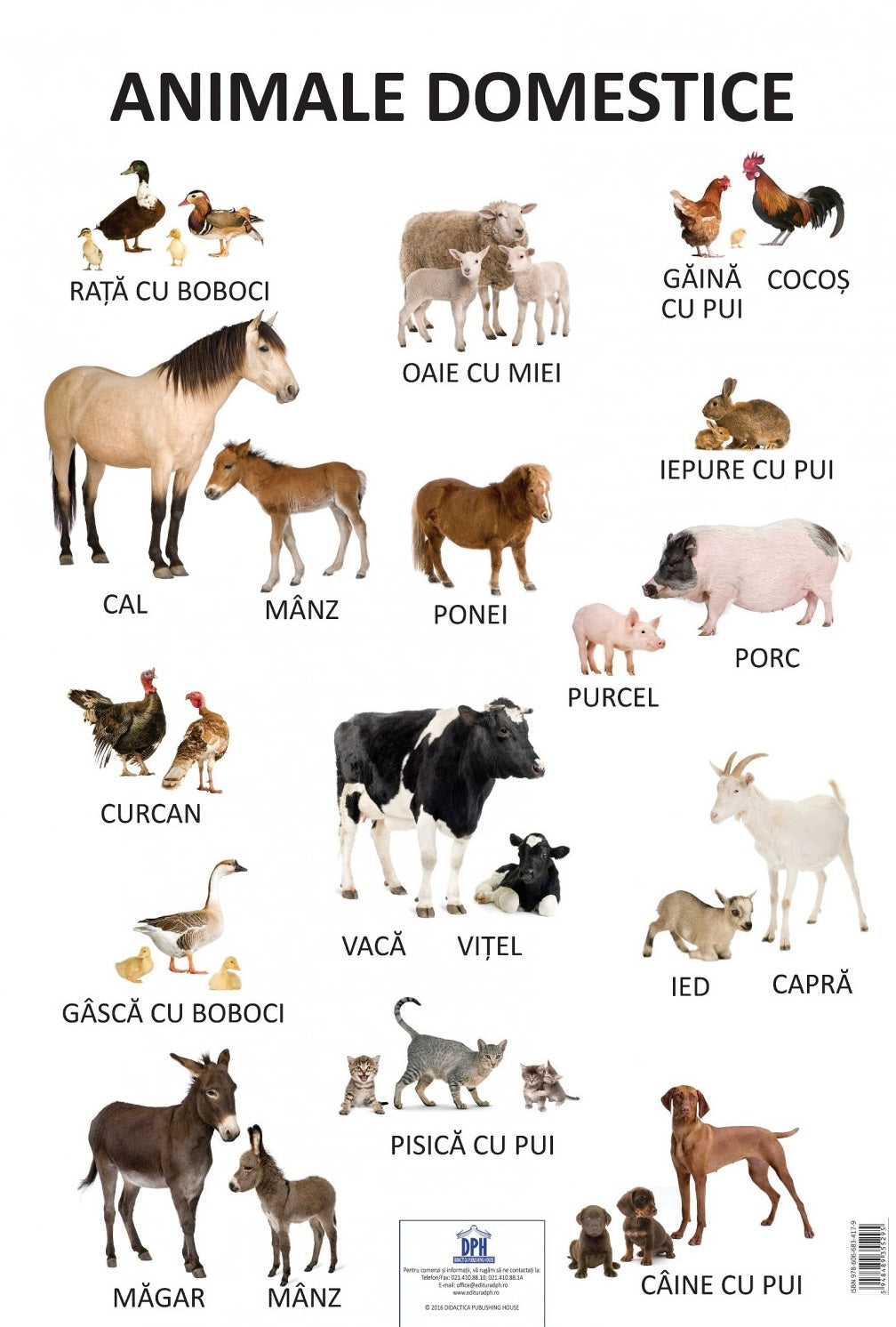 Plansa Animale domestice 