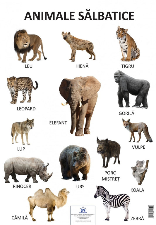 Plansa Animale salbatice 