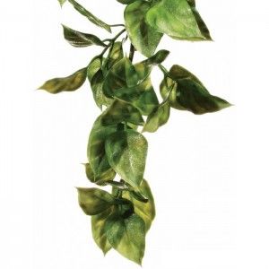 Exo Terra Planta Ampallo