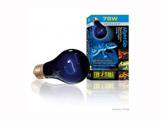 Bec Hagen Exo Terra Night Glo A19 75 W PT-2130