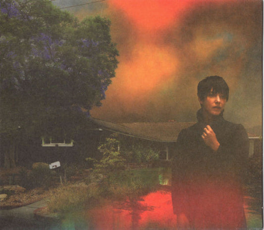 We've Been Going About This All Wrong- Sharon Van Etten