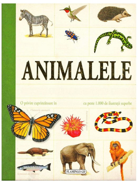 Animalele - enciclopedie pentru copii 