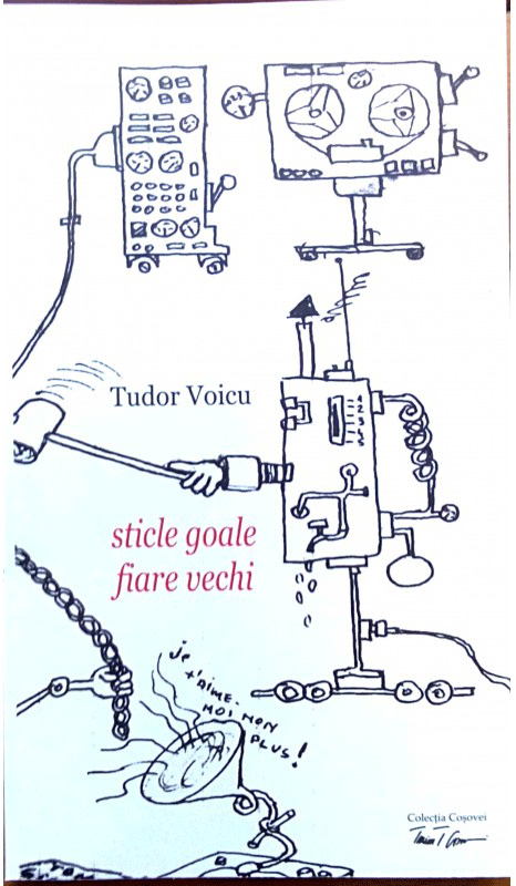 Sticle goale fiare vechi - Tudor Voicu