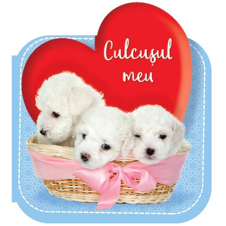 Culcusul meu 