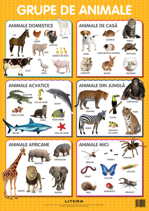 Animale. Planse educationale 
