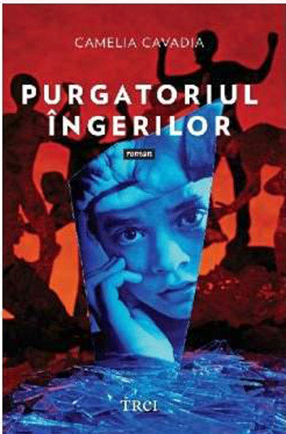 Purgatoriul ingerilor - Camelia Cavadia
